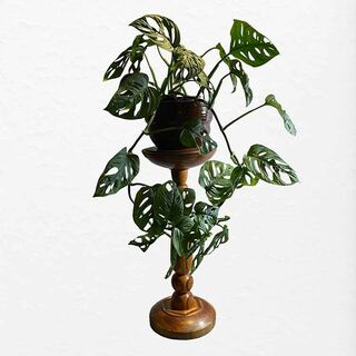 New Zealand made Vintage Mid Century furniture | Betty's Retro NZ