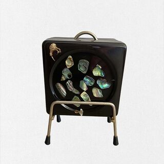 Vintage Paua Resin Coasters