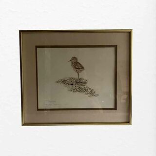 M Jaquiery Pied Stilt